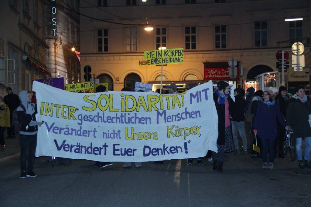Inter-Soli-Demonstration 2016 Wien (Foto: VIMÖ)